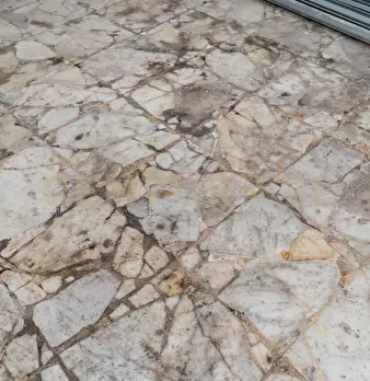 Foto annuncio 66