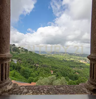Foto annuncio 48
