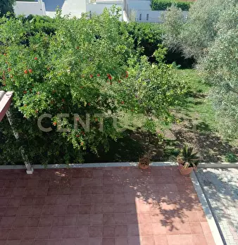 Foto annuncio 24
