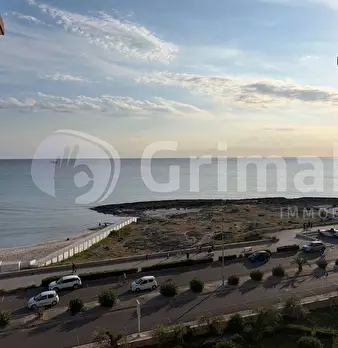 Foto annuncio 8