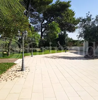 Foto annuncio 26
