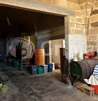 Foto annuncio 35