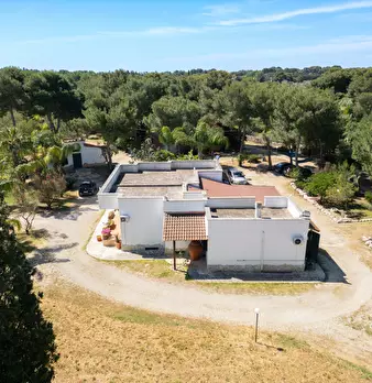 Foto annuncio 39