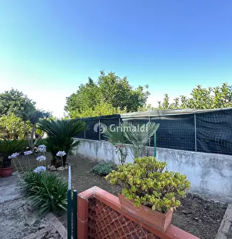 Foto annuncio 21