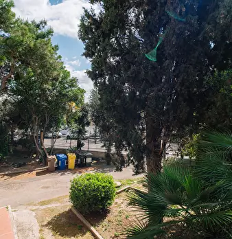 Foto annuncio 31