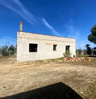 Foto annuncio 21