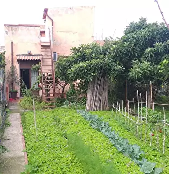 Foto annuncio 25