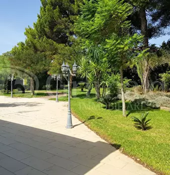 Foto annuncio 30
