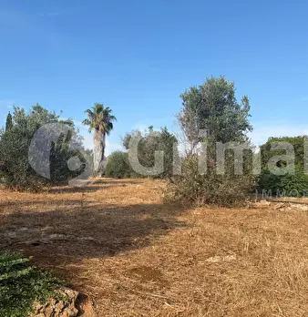 Foto annuncio 25