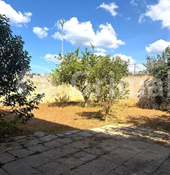 Foto annuncio 32