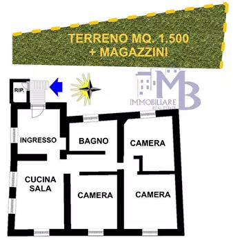 Foto annuncio 33