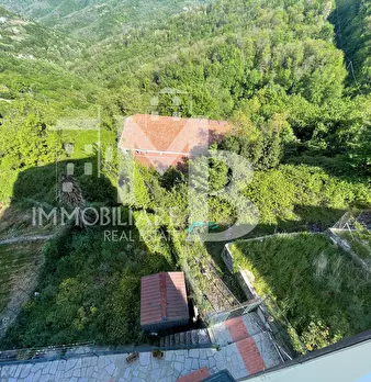 Foto annuncio 40