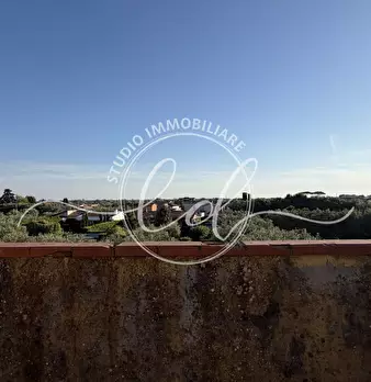 Foto annuncio 62