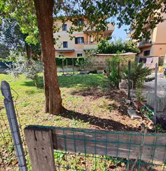 Foto annuncio 7