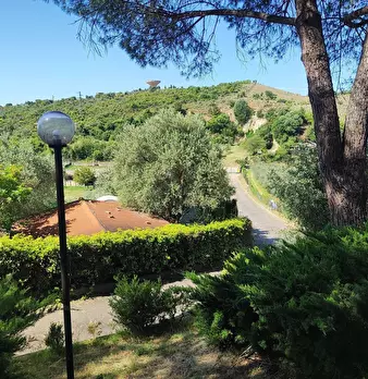 Foto annuncio 3