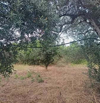 Foto annuncio 4