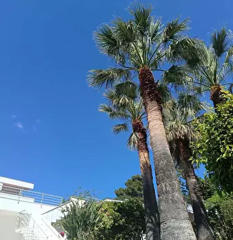 Foto annuncio 68