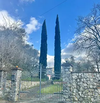 Foto annuncio 4