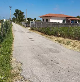 Foto annuncio 7