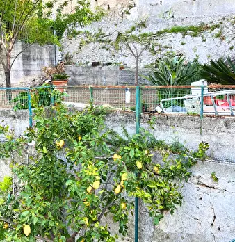 Foto annuncio 8