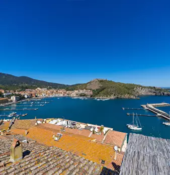 Foto annuncio 31