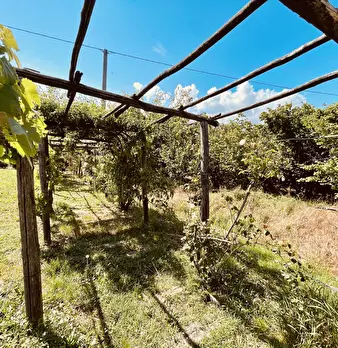 Foto annuncio 11