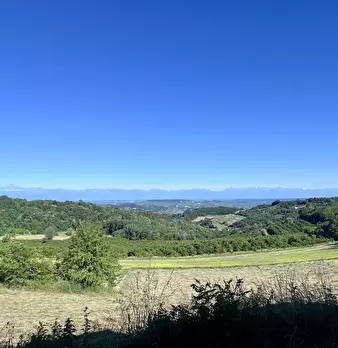 Foto annuncio 22