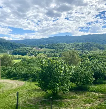Foto annuncio 22