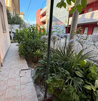 Foto annuncio 10
