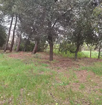 Foto annuncio 6