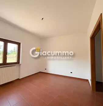 Foto annuncio 13