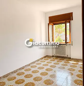 Foto annuncio 16
