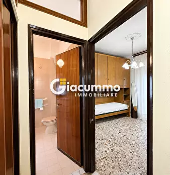 Foto annuncio 19