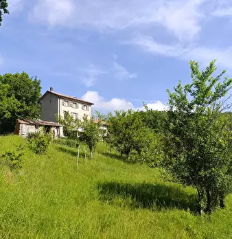 Foto annuncio 4