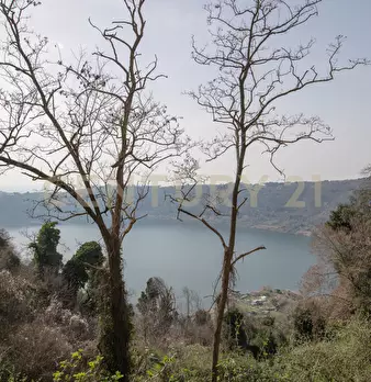Foto annuncio 41