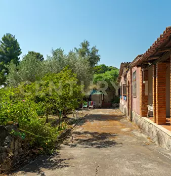 Foto annuncio 4
