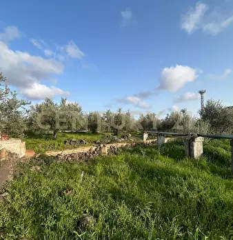 Foto annuncio 28