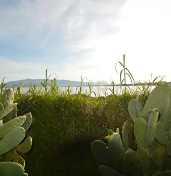 Foto annuncio 1
