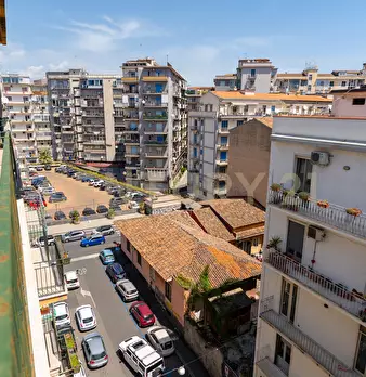 Foto annuncio 46
