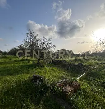 Foto annuncio 32