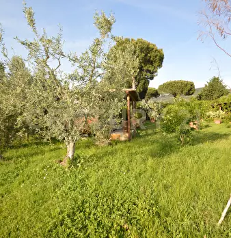 Foto annuncio 11