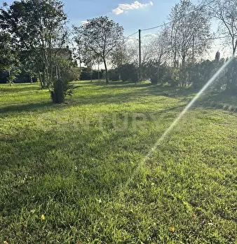 Foto annuncio 57