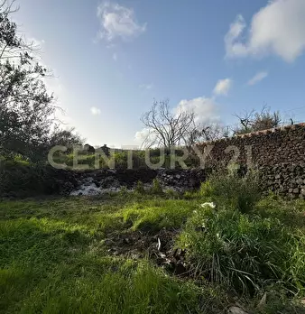 Foto annuncio 31