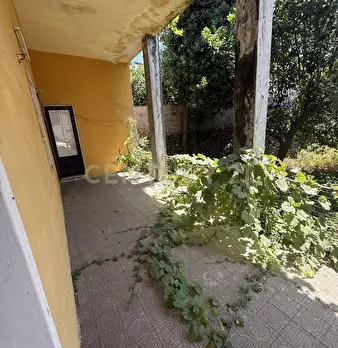 Foto annuncio 27