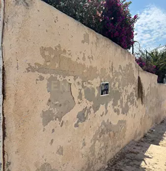 Foto annuncio 38