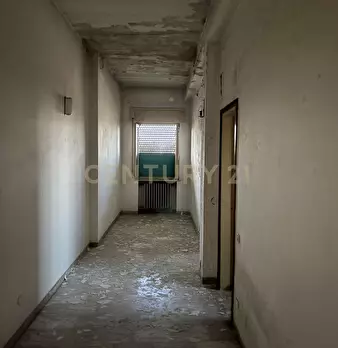 Foto annuncio 31