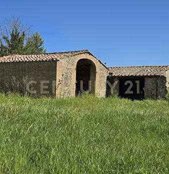 Foto annuncio 43