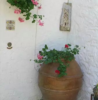 Foto annuncio 12