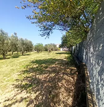 Foto annuncio 29