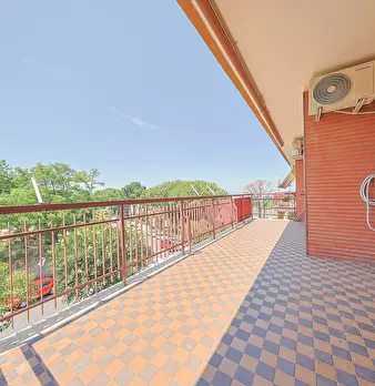 Foto annuncio 44